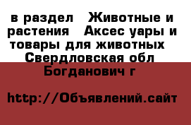  в раздел : Животные и растения » Аксесcуары и товары для животных . Свердловская обл.,Богданович г.